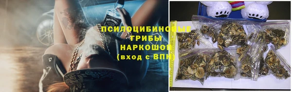 молекула духа Абинск