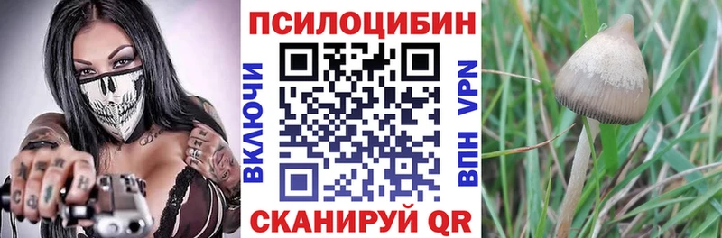 ссылка на мегу ONION  Сусуман  Галлюциногенные грибы Cubensis 